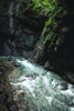 Spring Water vs Distilled Water