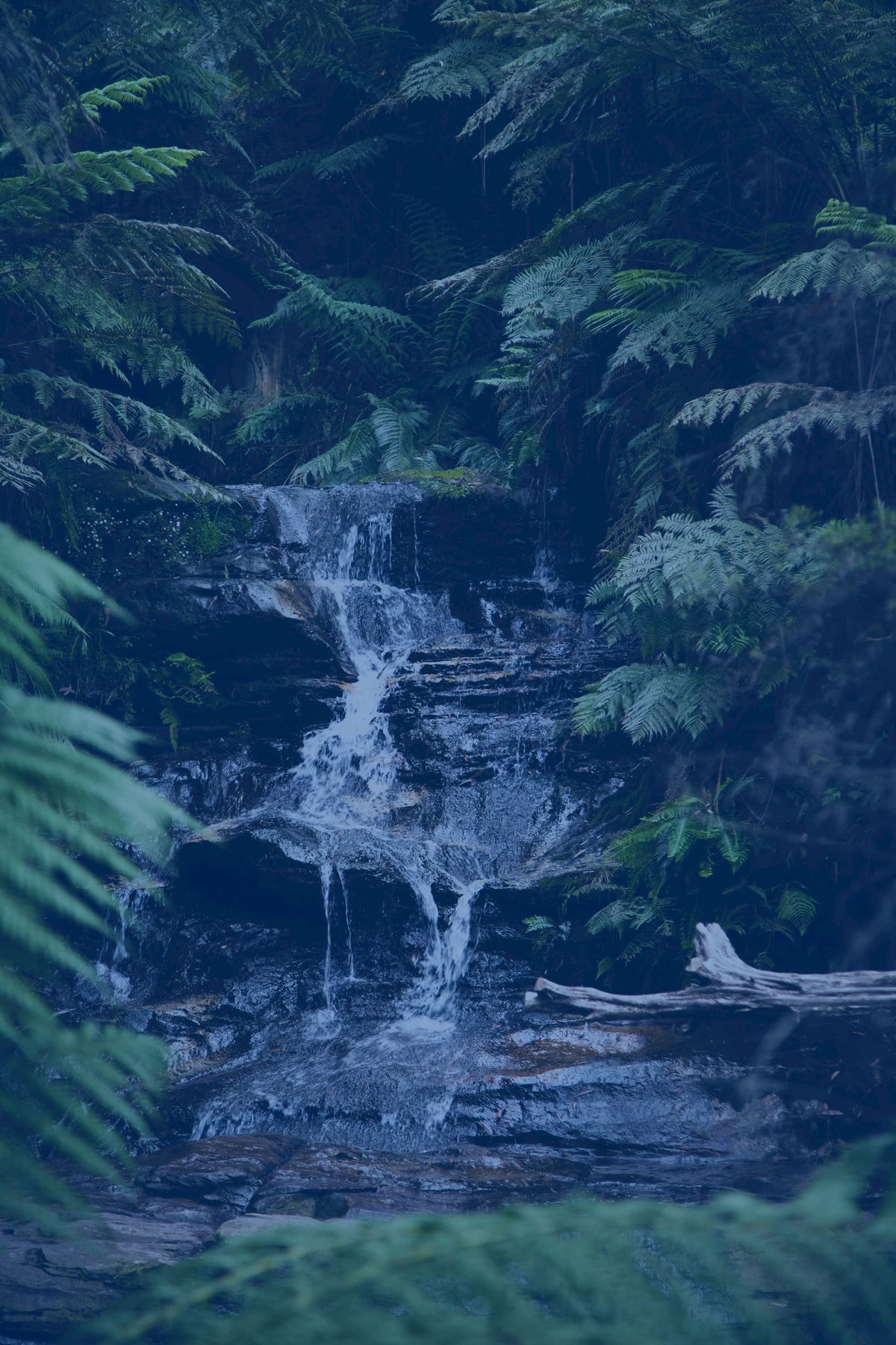Natruse Spring Natural Springs Australia | Volcanic Spring Water